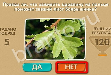 ответы к игре Проверь себя Уровень 2045