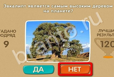 Проверь себя подсказки одноклассники Уровень 2049