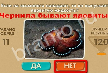 решебник на игру Проверь себя Уровень 2051