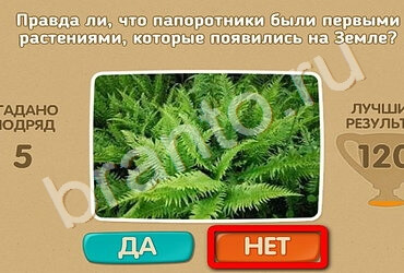 Игра Проверь себя ответы Уровень 2057