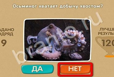 решебник на игру Проверь себя Уровень 2061