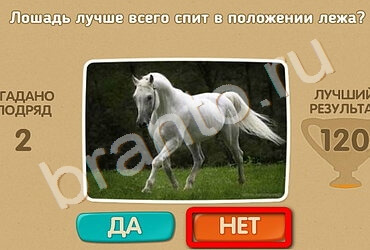 Игра Проверь себя ответы Уровень 2067