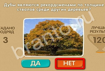 Решения на игру Проверь себя Уровень 2073