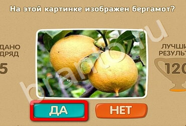 Проверь себя решения Уровень 2092