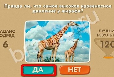 Проверь себя ответы в картинках Уровень 2206