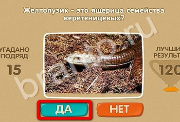 Проверь себя игра помощь Уровень 2215