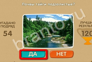 Подсказки на игру Проверь себя Уровень 2312