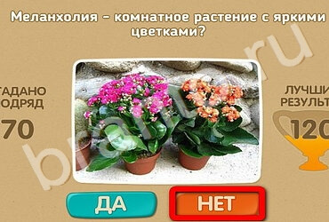 Решения на игру Проверь себя Уровень 2403