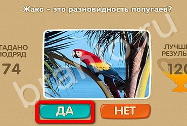 Проверь себя игра ответы в одноклассниках Уровень 2407