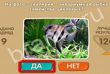 Игра Проверь себя подсказки Уровень 2418