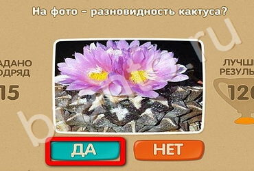 Проверь себя игра подсказки Уровень 2424