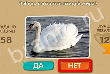 Проверь себя игра ответы в одноклассниках Уровень 2467