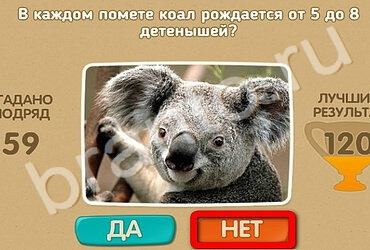 Одноклассники Проверь себя ответы Уровень 2468