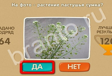 Проверь себя игра ответы Уровень 2473