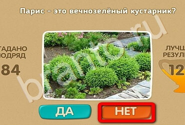 Решения на игру Проверь себя Уровень 2493