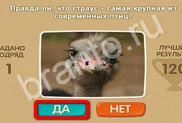 Проверь себя игра помощь Уровень 2505