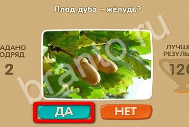 Проверь себя ответы в картинках Уровень 2506