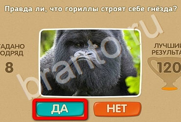 Проверь себя решения Уровень 2512