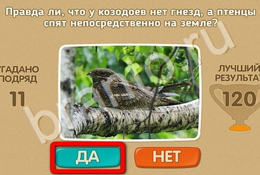 Проверь себя игра помощь Уровень 2515