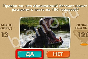 Игра Проверь себя ответы Уровень 2517