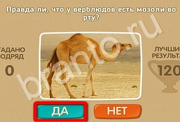 Подсказки на игру Проверь себя Уровень 2522