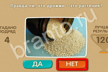 Проверь себя игра ответы в одноклассниках Уровень 2527