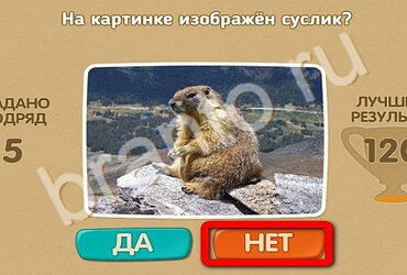 Одноклассники Проверь себя ответы Уровень 2528