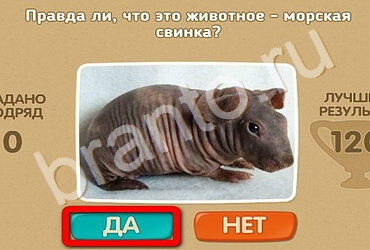 Проверь себя подсказки одноклассники Уровень 2529