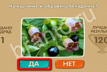 решебник на игру Проверь себя Уровень 2531
