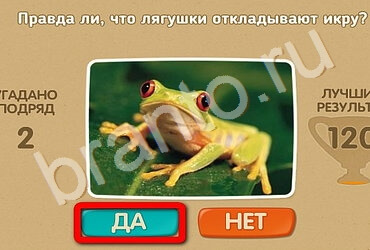 Проверь себя решения Уровень 2532