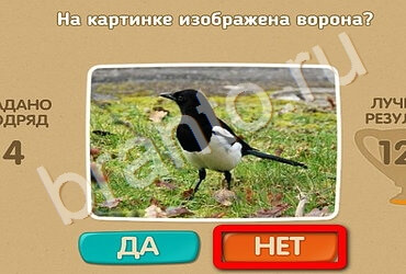 Проверь себя игра подсказки Уровень 2534