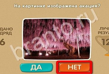 Проверь себя ответы в картинках Уровень 2536