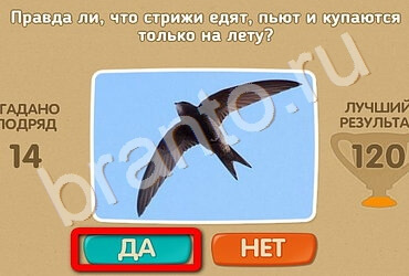 Проверь себя игра подсказки Уровень 2544
