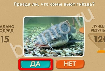 Проверь себя игра помощь Уровень 2545