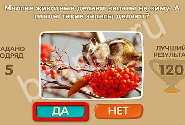 Проверь себя игра ответы в одноклассниках Уровень 2557