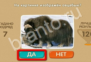 Проверь себя подсказки одноклассники Уровень 2559