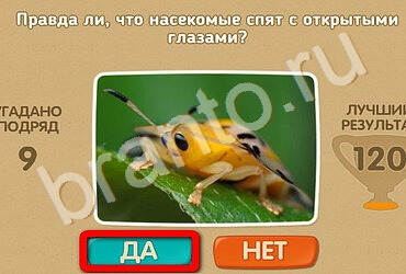 решебник на игру Проверь себя Уровень 2561