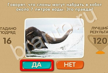 Игра Проверь себя подсказки Уровень 2568