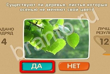 Помощь на игру ОКи Проверь себя Уровень 2584