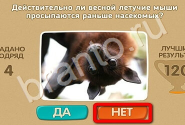 Проверь себя игра помощь Уровень 2595