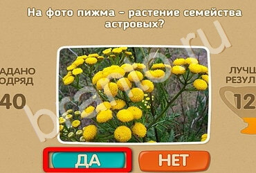 Решения на игру Проверь себя Уровень 2643