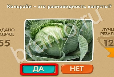 Игра Проверь себя подсказки Уровень 2658