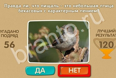 игра Проверь себя помощь Уровень 2659