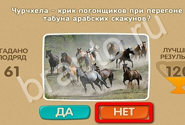 Проверь себя игра подсказки Уровень 2664