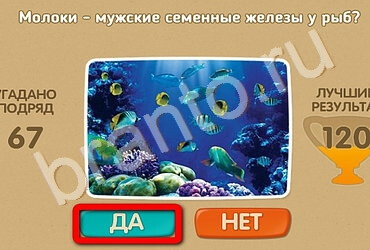 игра Проверь себя ответ на Уровень 2670