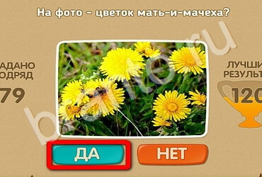 Проверь себя решения Уровень 2682