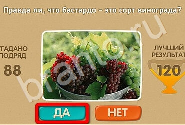 решебник на игру Проверь себя Уровень 2691