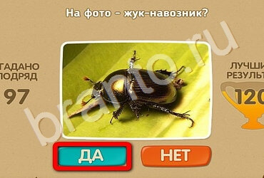 игра Проверь себя ответ на Уровень 2700