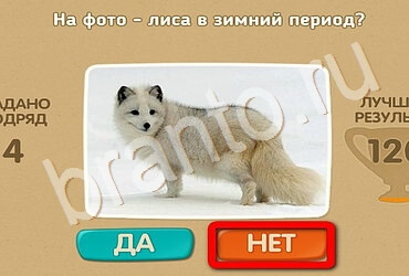 ответы к игре Проверь себя Уровень 2735