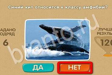 Проверь себя игра ответы Уровень 2833